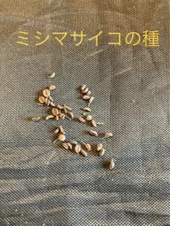 Pea様 リクエスト 4点 まとめ商品