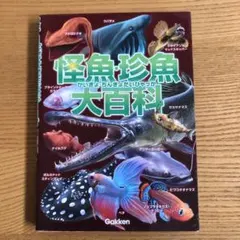 Item thumbnail for item fd9c6f5d-2dd4-43ee-a847-56433c37a7ed