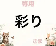 専用