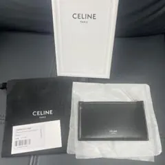 ⭐︎人気セリーヌ トロッタークラッチバッグ美品⭐︎ 付属品フルセット 