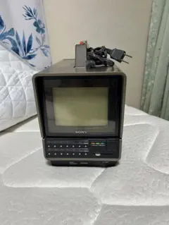 2026年最新】SONY トリニトロン ブラウン管テレビの人気アイテム