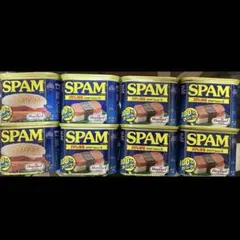 SPAMスパム 340g×12缶セット 20%減塩 【賞味期限20280428】 - メルカリ