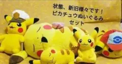 ピカチュウ　ぬいぐるみ　セット販売　ポケモン