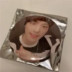 ディノ 缶バッジ ヘンガレ