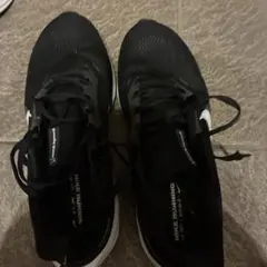 NIKE ナイキ AIR ZOOM ペガサス41