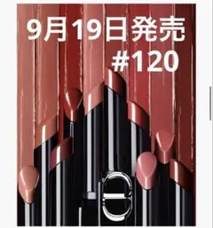 【新品】120 ルージュ　ディオールオンステージ Dior