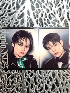 【リノ スンミン】StrayKids スキズ 静岡エコパ アプグレ トレカ