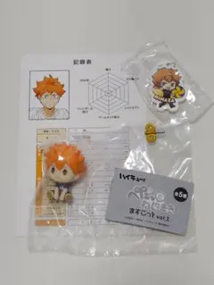 日向翔陽3点セット