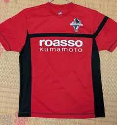 Item thumbnail for item e2e044a1-16fe-4b46-8105-028a79e75676