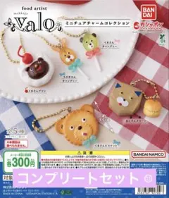 food artist valo ミニチュアチャームコレクション⁑コンプリート☺︎