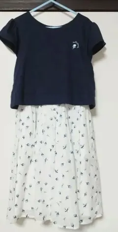 Item thumbnail for item 1a93db1f-46bb-4ab7-bc25-fe220986e83b