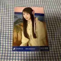 乃木坂46 生写真 座りヨリ 14th Anniversary 矢田萌華 コンプ - メルカリ