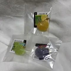ピュレグミ チャーム　3種セット