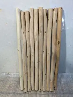 Item thumbnail for item 4b1dbfd1-ef12-40df-994a-297d76191371