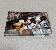 ディズニー  スペフォ  スペシャルフォト