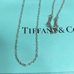 70cm・希少】ティファニー あずきチェーン ロングネックレス シルバー