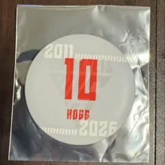 千葉ジェッツ　D.J. ホグ選手　15thシークレット選手N&N缶バッジ