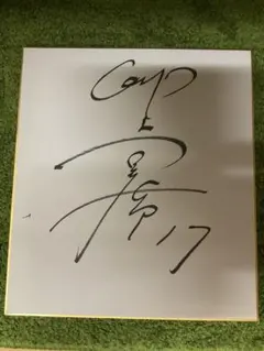 広島東洋カープ 常廣羽也斗 直筆サイン色紙 - メルカリ