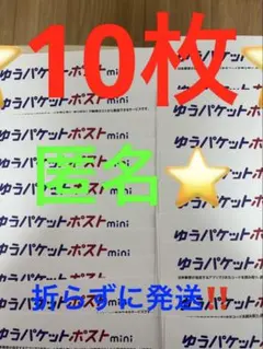ゆうパケットポストmini 専用封筒 10枚セットその69