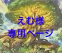 えむ様　専用ページ　まとめ売り