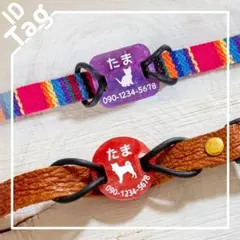 Item thumbnail for item 5ec38178-89dc-4601-a503-6caa2f7c6837