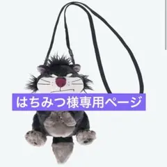 専用ページ
