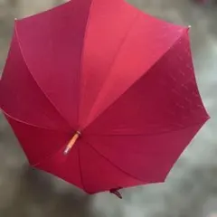 2025年最新】Christian Dior レディース傘の人気アイテム - メルカリ