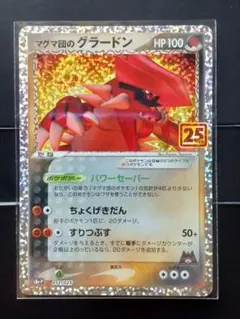 2026年最新】Pokemon レアリティ：プロモーションカード (PROMO