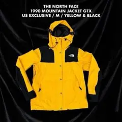 31TNF　1990 Mountain Jacket GTX US限定 M