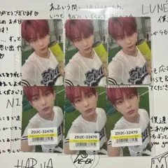 &TEAM Back to Life HARUA 6枚