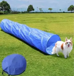 Item thumbnail for item bd623829-f8f1-4217-b610-b558365d572d