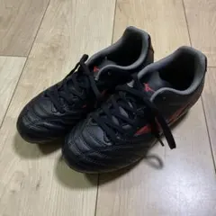 Item thumbnail for item 2f325940-a4f0-47b6-a275-8ef3c43d2446