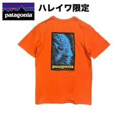 ハワイ廃盤希少 ハレイワ限定 patagonia メンズ　Tシャツ　ヴィンテージ