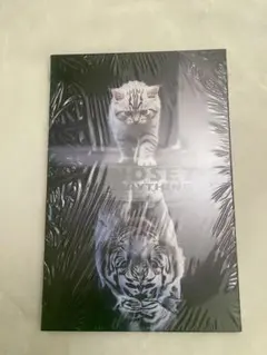 Item thumbnail for item 460cff89-6ce6-4790-a98c-7c54c482876d