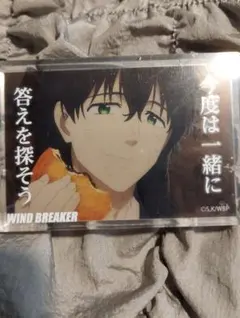 WINDBREAKER ダイソー アクリルブロック 十亀 条