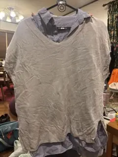 earth music&ecology グレー Vネックニットベスト