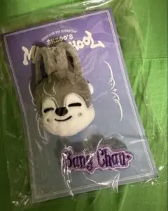 2026年最新】ウルフチャン skzooの人気アイテム - メルカリ