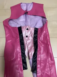 加古望 コスプレ衣装 fairy製 - メルカリ