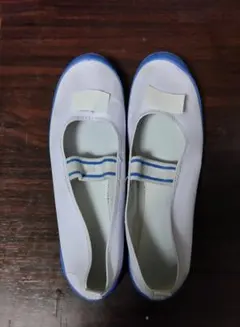 MIさま、専用 上履き バレーシューズ 24.5cm他