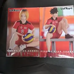 ハイキュー!!ぬーどるストッパーフィギュア(狐爪研磨、黒尾鉄朗)