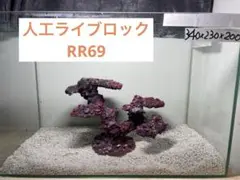 人工ライブロック　アク抜き済み 2025年最新】ライブロック セメントの人気アイテム - メルカリ