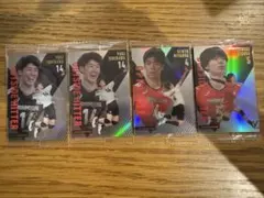 日本代表バレーボール選手トレーディングカードセット17枚セット
