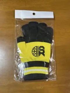 Item thumbnail for item 4ef2ab46-80bf-46a1-8dfd-c7278dd3d900