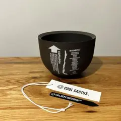 2025年最新】valiem 鉢の人気アイテム - メルカリ