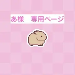 あ様　専用