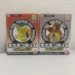 木*綿様 ポケモン30周年　ポケモンキッズ　メガガルーラ　ヒノアラシ