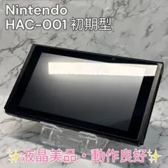 Nintendo Switch HAC-001 初期型 液晶美品 動作良好 人気