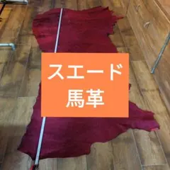 Item thumbnail for item a51f80e9-8601-4cb0-bba1-1503fe11596a