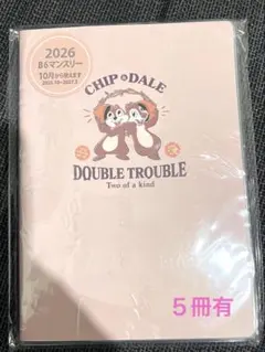 チップ&デール　スケジュール帳　2026 ディズニー　B6サイズ　手帳