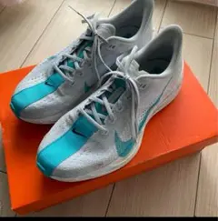 ナイキ NIKE ZoomX ペガサスプラス 25.0cm ランニングシューズ